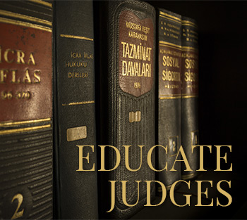 Don’t Wait to Educate Judges About Abuse
