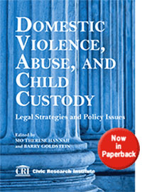 Domestic Violence Abuse and Child Custody